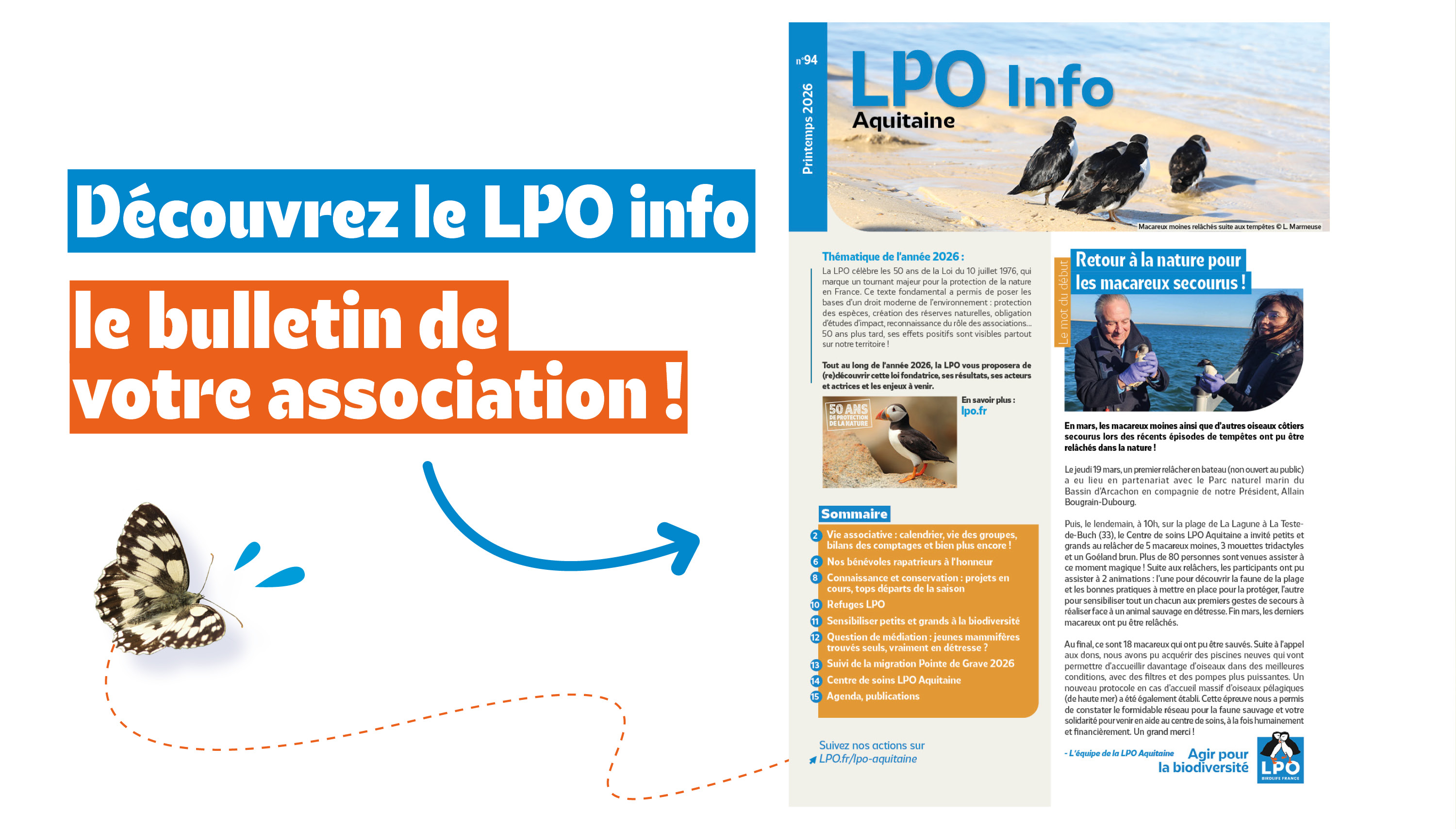 Découvrez le nouveau numéro du LPO Info Aquitaine ! Actualité